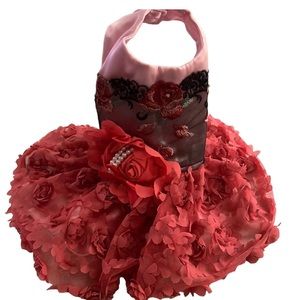 AMAZING FLOWERED DESIGNER DOG DRESS